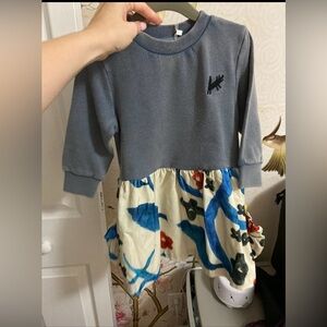 Gray and Multicolor Baby Dress